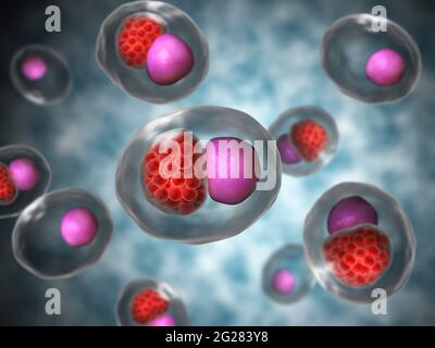 Concetto microscopico di un grande gruppo di Chlamydia psittaci. Foto Stock
