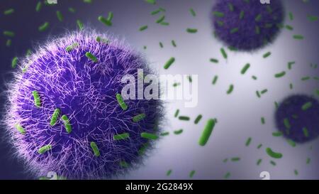 Cellule immunitarie che attaccano i batteri della tubercolosi. Foto Stock