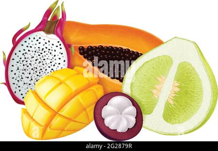 Insieme di frutti tropicali isolati su sfondo bianco. Illustrazione vettoriale fotorealistica. Illustrazione Vettoriale