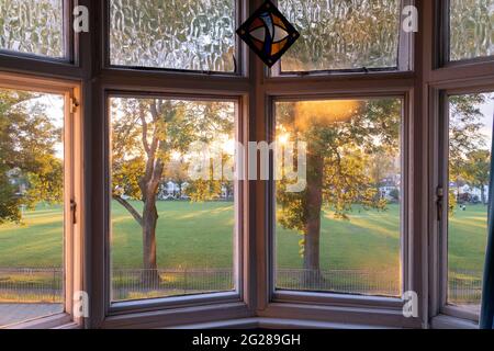 La vista soleggiata di un parco, alberi di cenere e case lontane, vista da una finestra della baia suburbana a Londra, il 6 giugno 2021, a Londra, Inghilterra. Foto Stock