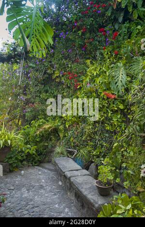 Spazi aperti, nuovo normale COVID-19 in Guatemala, giardinaggio e design naturale a la Antigua Guatemala. Foto Stock