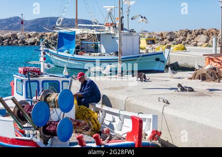 Grecia. Isola di Koufonisi, Cicladi, 23 maggio 2021. Scena di pesca afetr al molo del porto. Pescatore lavorando con le reti su una barca ormeggiata, gabbiani guardare Foto Stock