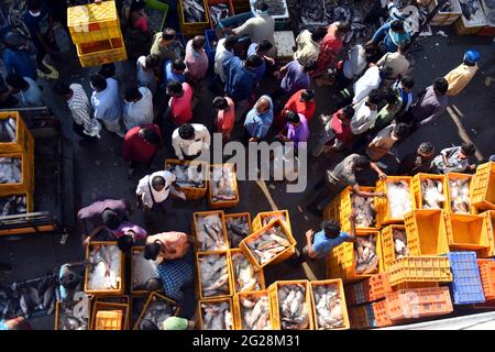 Nuova Delhi, India. 8 Giugno 2021. La gente acquista pesce in un mercato a SECUNDRABAD di Telangana, India, l'8 giugno 2021. Il COVID-19 dell'India ha superato i 29 milioni di punti, raggiungendo i 29,089,069, mercoledì, ha confermato il ministero della salute del paese. Nelle ultime 24 ore sono stati registrati ben 92,596 nuovi casi di pandemia. Si tratta del secondo giorno consecutivo in cui nel paese sono stati registrati meno di 100,000 casi, dopo più di due mesi. Credit: Sr/Xinhua/Alamy Live News Foto Stock