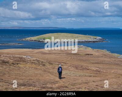 In una soleggiata giornata primaverile, con le isole di Yell e Fetlar in lontananza, una singola camminatrice discende la collina di Stato a Lunna Ness, Shetland Foto Stock
