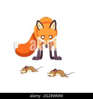 Red Fox caccia topi. Vista frontale. Cartoon, immagine vettoriale piatta isolata su sfondo bianco Illustrazione Vettoriale