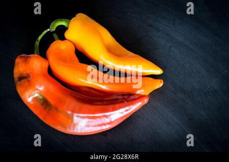 Peperoni rossi, arancioni e gialli organici a punta dolce su lavagna, luce naturale, primo piano Foto Stock