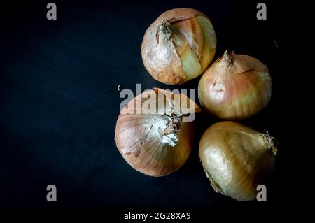 Cipolle dorate organiche su una lavagna da vicino Foto Stock