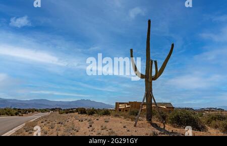 Immagine paesaggistica di nuove abitazioni personalizzate costruite nel Nord Scottsdale con il cactus Saguaro in primo piano, Foto Stock