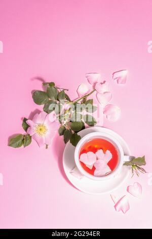 Tè da fiori di rosa fianchi. Bevanda vitaminica estiva, luce dura, ombra scura. Sfondo rosa pastello, vista dall'alto Foto Stock