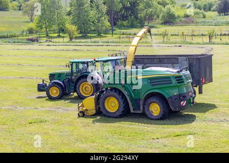 Trincia semovente e trattore con rimorchio insilato sul campo Foto Stock