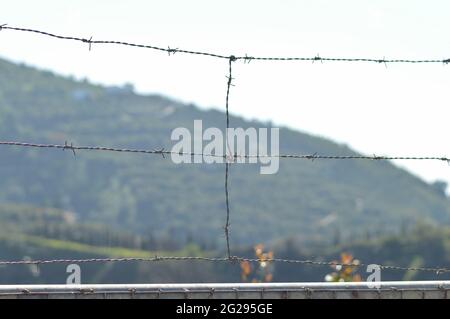 Recinzione di filo intarsiata con spine Foto Stock