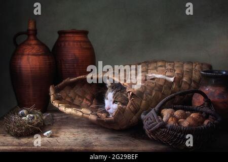Macchiato gatto e piccolo topo nella vecchia dispensa Foto Stock