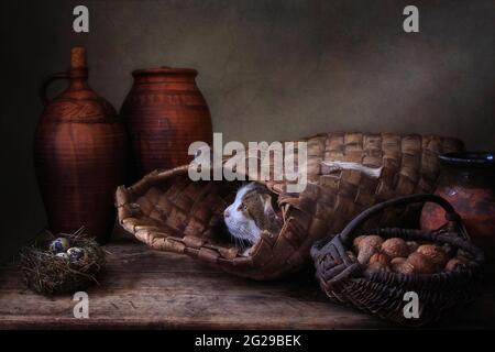 Macchiato gatto e piccolo topo nella vecchia dispensa Foto Stock