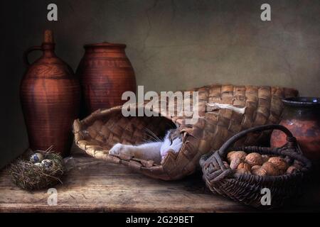 Macchiato gatto e piccolo topo nella vecchia dispensa Foto Stock