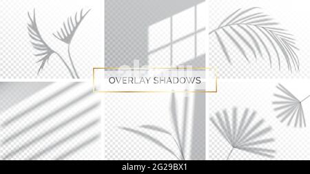 Set di ombre, effetti di sovrapposizione mock up, sul telaio di una finestra e di foglie di piante, luce naturale, illustrazione vettoriale. Illustrazione Vettoriale