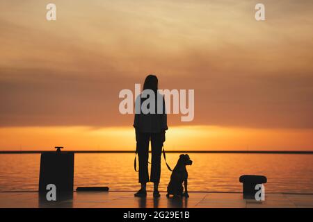 Silhouette di una donna con cane al molo vicino all'acqua, ora d'oro Foto Stock