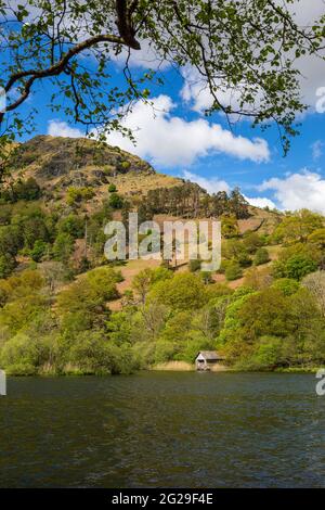 Guardando dall'acqua di Rydal verso Nab Scar nel Lake District, Inghilterra Foto Stock