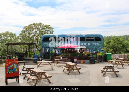 Il Burrow Hill Cider Farm Cider Bus' vende una varietà di bevande a base di sidro al Glastonbury Festival. Foto Stock