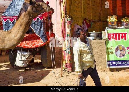 Pushkar, India - 10 novembre 2016: Un uomo che cammina il suo cammello nella famosa fiera pushkar o kartik. La più grande fiera indiana di cammelli, cavalli e bestiame Foto Stock