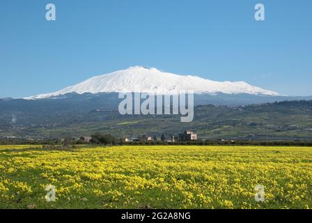 Prato di trifoglio giallo in fiore sullo sfondo vulcano Etna coperto di neve Foto Stock