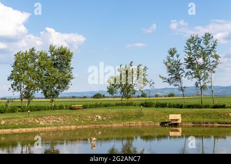 La bellezza della pianura della Vojvodina in Serbia Foto Stock