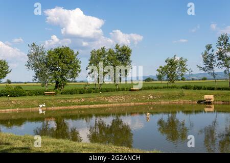 La bellezza della pianura della Vojvodina in Serbia Foto Stock