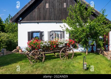 Vintage cavallo trainato carretto di trasporto in legno decorato con fiori annuali nel cortile antica casa in Serbia Foto Stock