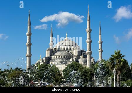 fontana e Moschea del Sultano Hamet o Moschea Blu a Istanbul, Turchia Foto Stock