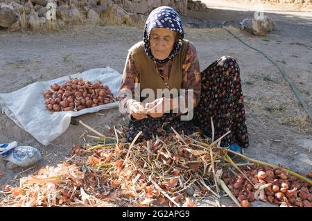 Yaprakhisar, Turchia - 31 luglio 2010: Una donna musulmana anziana pulisce le cipolle che si trovano in una strada sterrata di Yaprakhisar vicino alla valle di Ihlara Foto Stock