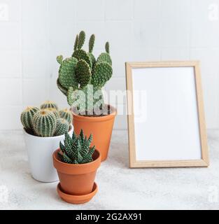 Cactus e pianta succulente in pentole e mock up poster telaio sul tavolo Foto Stock