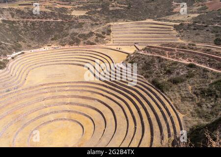 Terrazze Inca circolari presso il sito archeologico di Moray nella Valle Sacra, Perù Foto Stock