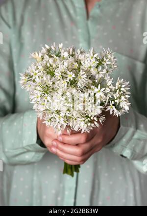 Bel bouquet di fiori di aglio selvatico commestibile in mani ragazze. Omeopatia e concetto di cucina. Foto Stock