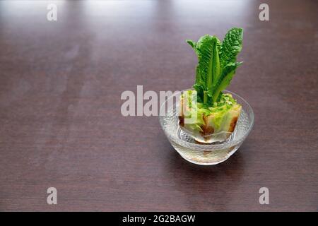 Ricalcare il cavolo cinese in una ciotola di vetro. Usando gli scarti vegetali per coltivare le verdure organiche a casa. Foto Stock