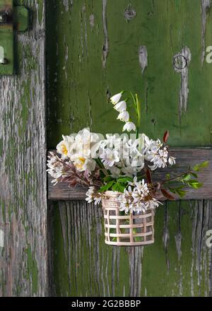 Bel bouquet con primi fiori bianchi primaverili. Legno anemone, giacinto, amelanchier rotundifolia, daffodil e fiore estate fiocco di neve. Foto Stock
