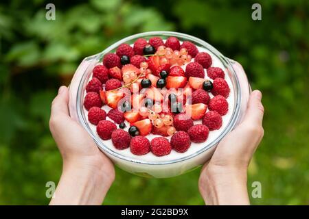 Dessert a tre strati con pan di Spagna, panna montata, lamponi freschi, fragole, ribes nero e rosa in mani di bambino. Foto Stock