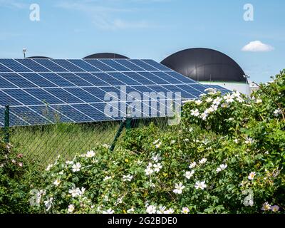 Impianto fotovoltaico con sistema a biogas in background Foto Stock