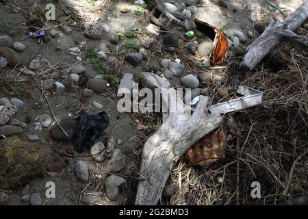 Grenada Driftwood e spazzatura sulla spiaggia vicino Gouyave Foto Stock