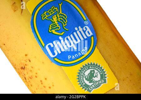 BREMA, GERMANIA - 10 GIUGNO 2021: Le banane Chiquita di Panama etichettate con il sigillo certificato della Rainforest Alliance. Foto Stock