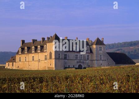 FRANCIA. COTE D O (21) REGIONE BORGOGNA. BORGOGNA E COTE DE NUITS VIGNETO. CHATEAU CLOS DE VOUGEOT Foto Stock