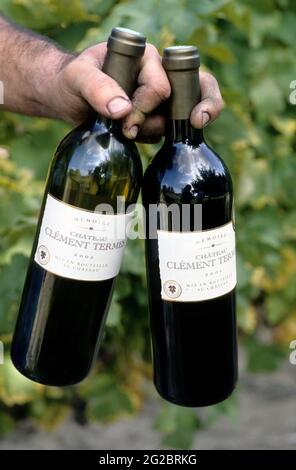 FRANCIA. TARN (81) LISLE-SUR-TARN. VILLAGGIO DI LES FORTIS. VIGNETO GAILLAC. VINI CHATEAU CLEMENT THERMES Foto Stock