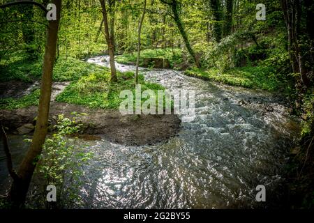 The Flowing Porter Brook, Sheffield, South Yorkshire, Regno Unito Foto Stock