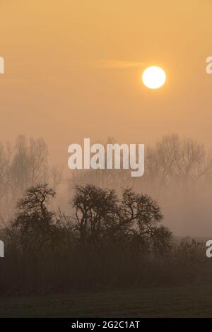 Sunrise vicino a Znojmo, Moravia del Sud, Repubblica Ceca Foto Stock