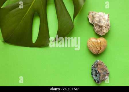 minerali e piante di monstera su carta verde - varietà di ciottoli di mare colorati con foglia di monstera verde come primo piano di sfondo estivo Foto Stock