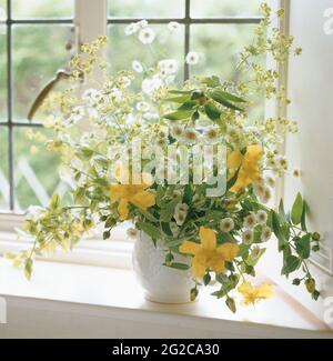 I fiori sul davanzale della finestra Foto Stock