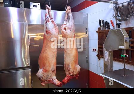 L'industria della carne, le carni, l'agnello appeso nel deposito freddo, pende sui ganci dietro un pannello di vetro, contatore di vetro in un deposito. Taglio halal. Foto Stock