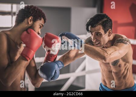 Due giovani kickboxer che hanno un allenamento e guardare coinvolti Foto Stock