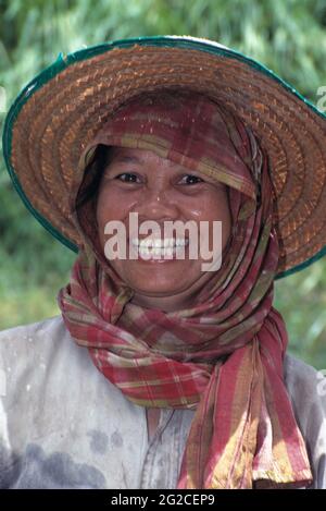 Thailandia. Ritratto esterno di coltivatore di riso donna. Foto Stock