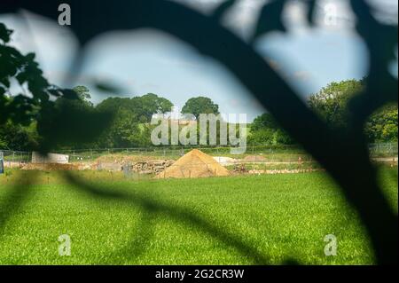 Aylesbury vale, Buckinghamshire, Regno Unito. 8 Giugno 2021. HS2 Ltd hanno distrutto una grande area di boschi antichi a Jones Hill Wood. Le radici dell'albero sono accatastate in su come sono mucchi degli alberi che sono stati boscati. La High Speed Rail 2 da Londra a Birmingham è molto controversa a causa dei costi finanziari e ambientali. Credito: Maureen McLean/Alamy Foto Stock