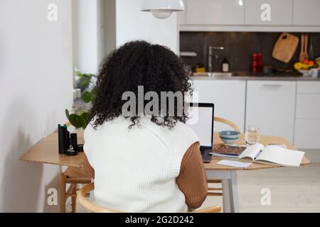 Vista posteriore della donna che lavora da casa Foto Stock