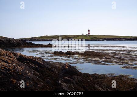 Vista su una baia rocciosa vicino a Y Cafn; Ynys Enlli / Bardsey Island Wharf / porto che mostra faro sullo sfondo e foche crogiolarsi su rocce Foto Stock